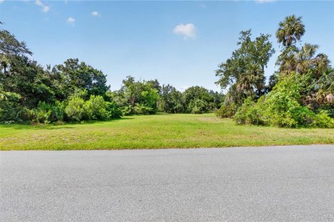 Terrain à vendre à Homosassa, Floride № 2213584 - photo 3