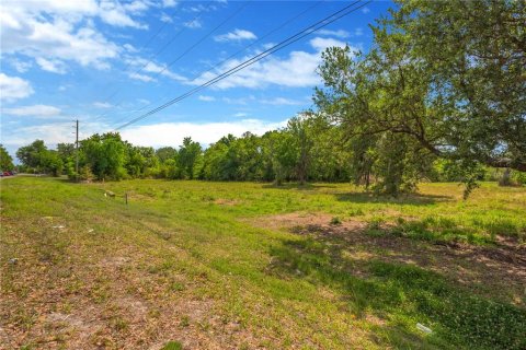 Terrain à vendre à Zephyrhills, Floride № 2203999 - photo 15