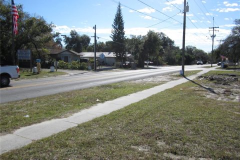 Land in Tampa, Florida № 1542452 - photo 9