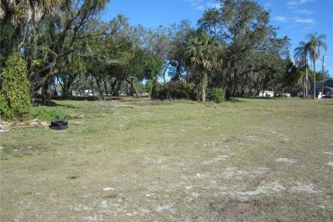 Land in Tampa, Florida № 1542452 - photo 1