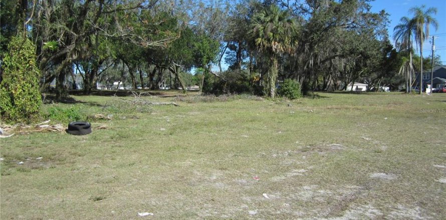 Land in Tampa, Florida № 1542452