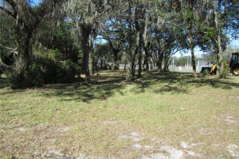 Land in Tampa, Florida № 1542452 - photo 7