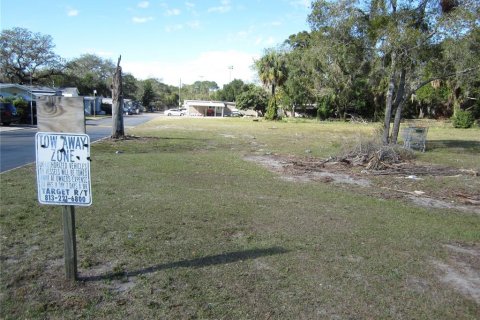 Land in Tampa, Florida № 1542452 - photo 4