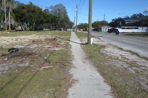 Land in Tampa, Florida № 1542452 - photo 5