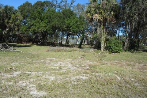 Land in Tampa, Florida № 1542452 - photo 6