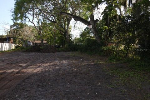Land in Orlando, Florida № 1591312 - photo 5