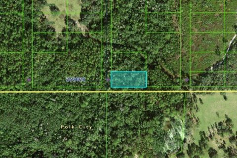 Land in Polk City, Florida № 2162220 - photo 2