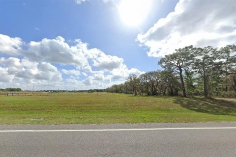 Land in Polk City, Florida № 2162220 - photo 3