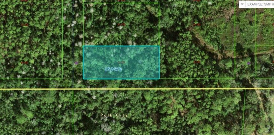 Land in Polk City, Florida № 2162220
