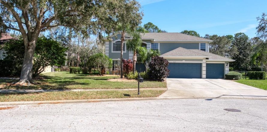 House in Palm Harbor, Florida 5 bedrooms, 336.68 sq.m. № 1536889