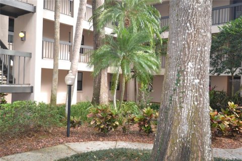 Condo in Palm Harbor, Florida, 2 bedrooms  № 1556399 - photo 3