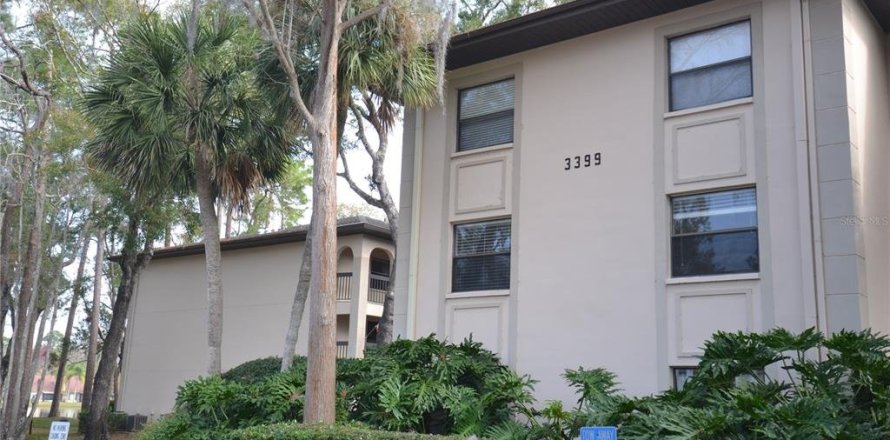 Condo in Palm Harbor, Florida, 2 bedrooms  № 1556399