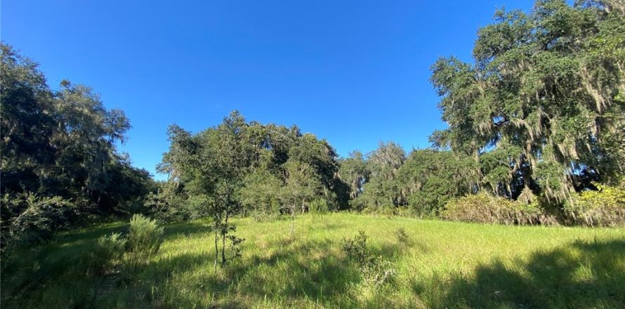 Land in Floral City, Florida № 1630000