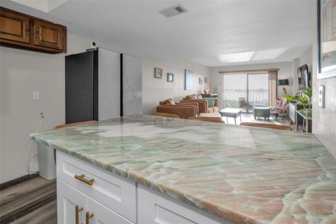 Condo in South Pasadena, Florida, 1 bedroom  № 1886754 - photo 21