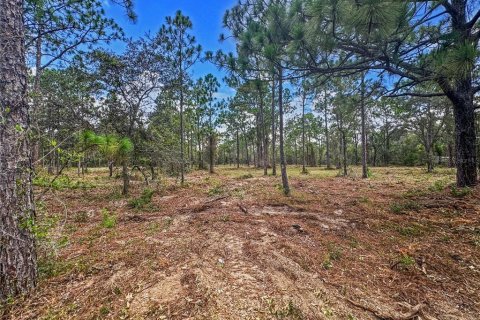 Terreno en venta en Brooksville, Florida № 1909305 - foto 13