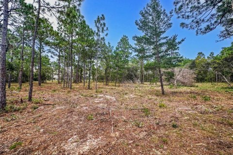 Terreno en venta en Brooksville, Florida № 1909305 - foto 10