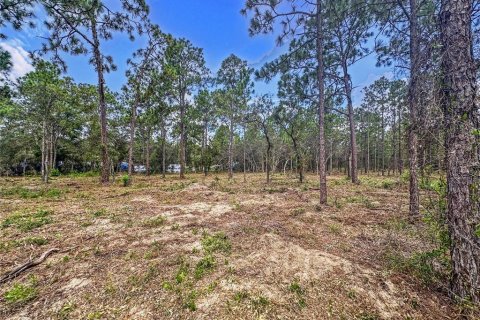 Terreno en venta en Brooksville, Florida № 1909305 - foto 14