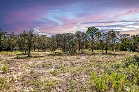 Terreno en venta en Brooksville, Florida № 1909305 - foto 8