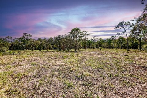 Terreno en venta en Brooksville, Florida № 1909305 - foto 9