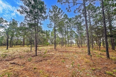 Terreno en venta en Brooksville, Florida № 1909305 - foto 11