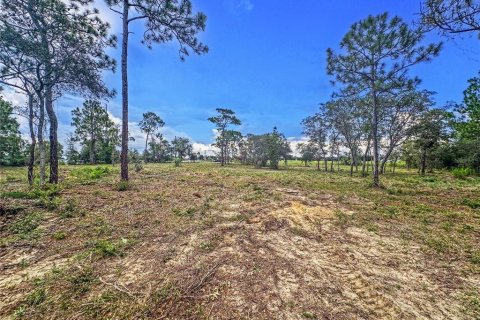 Terreno en venta en Brooksville, Florida № 1909305 - foto 12