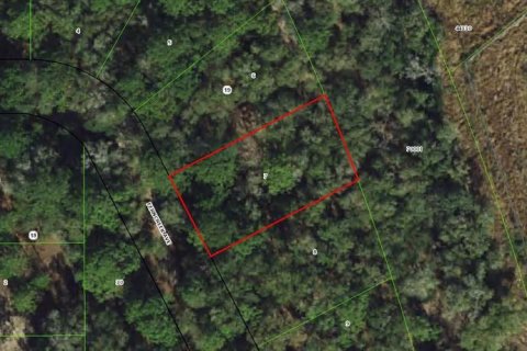 Land in Inverness, Florida № 2341766