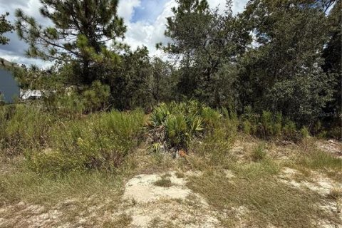 Terreno en venta en Brooksville, Florida № 1912257 - foto 6
