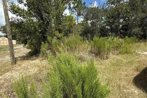 Terreno en venta en Brooksville, Florida № 1912257 - foto 5