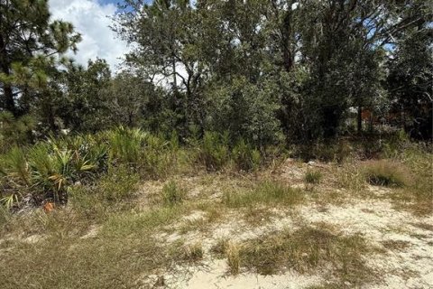 Terreno en venta en Brooksville, Florida № 1912257 - foto 1