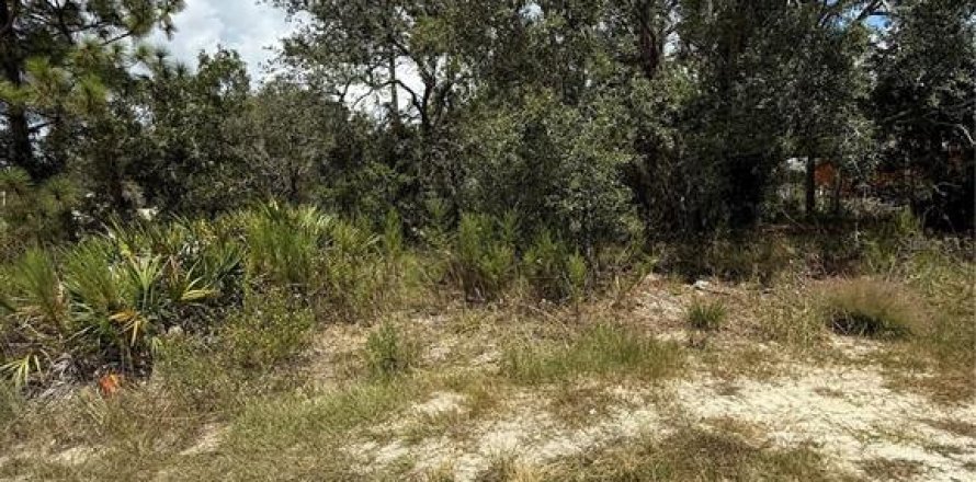 Terreno en Brooksville, Florida № 1912257