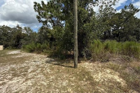 Terreno en venta en Brooksville, Florida № 1912257 - foto 3