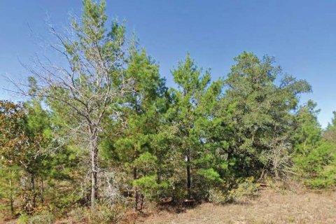 Land in Chipley, Florida № 2162865