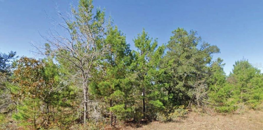 Land in Chipley, Florida № 2162865