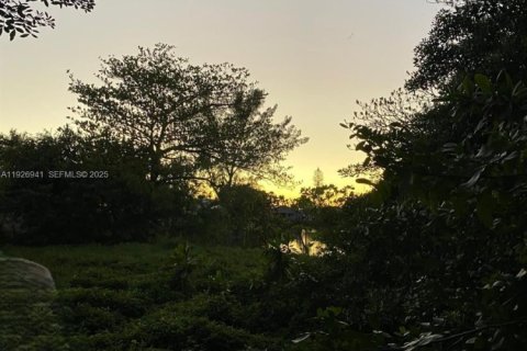 Land in Hallandale Beach, Florida № 1988408 - photo 6