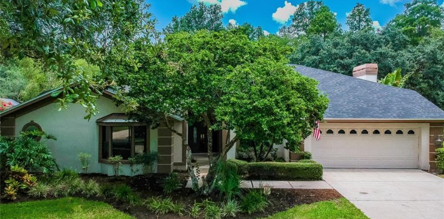House in Tampa, Florida 4 bedrooms, 299.52 sq.m. № 1684610