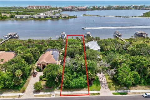 Terreno en venta en Palm Coast, Florida № 1808557 - foto 12