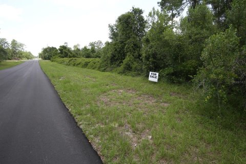 Terreno en venta en Ocala, Florida № 1774966 - foto 10