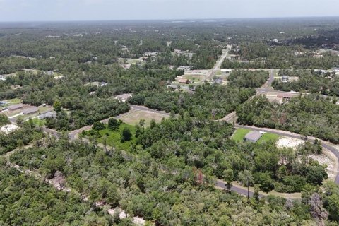 Terreno en venta en Ocala, Florida № 1774966 - foto 8