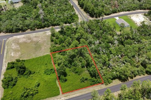 Terreno en venta en Ocala, Florida № 1774966 - foto 2