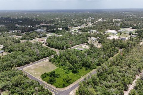 Terreno en venta en Ocala, Florida № 1774966 - foto 6