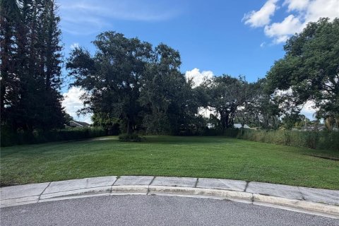 Land in Orlando, Florida № 2370674