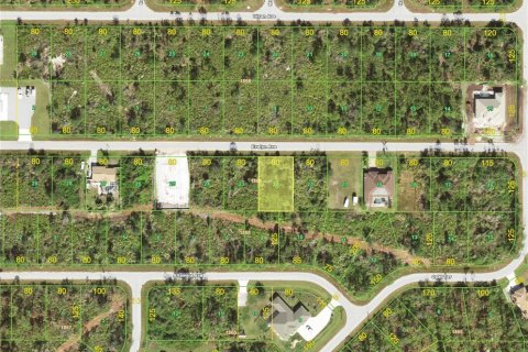 Terrain à Port Charlotte, Floride № 2159980