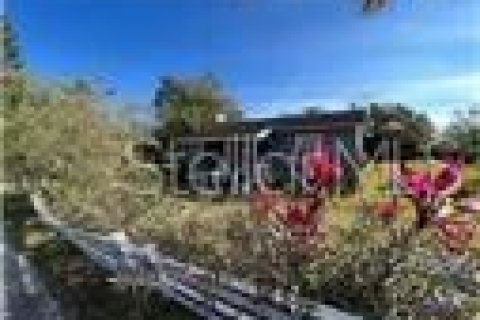 Propiedad comercial en venta en Kissimmee, Florida, 383.97 m2 № 1900781 - foto 7