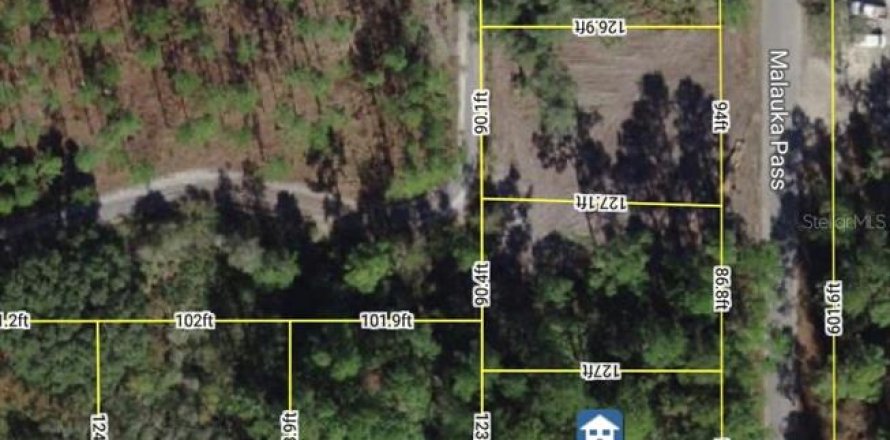 Terrain à Ocklawaha, Floride № 2205897