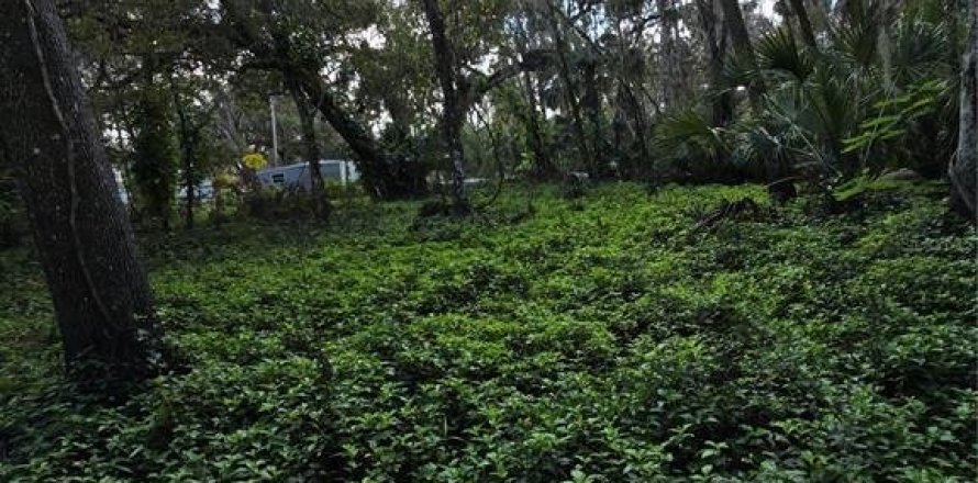 Terrain à Brandon, Floride № 1561713
