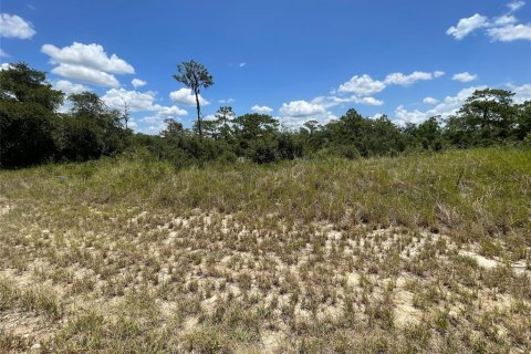 Terrain à vendre à Kissimmee, Floride № 2202079 - photo 4
