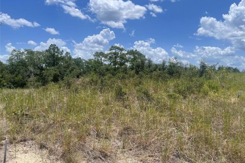 Terrain à vendre à Kissimmee, Floride № 2202079 - photo 3