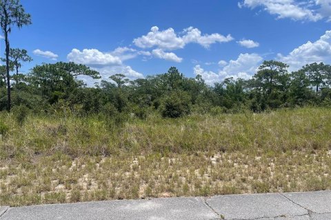 Land in Kissimmee, Florida № 2202079