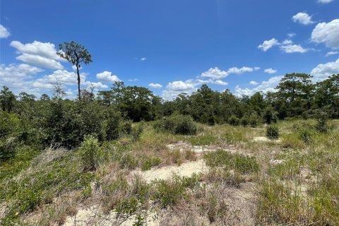 Terrain à vendre à Kissimmee, Floride № 2202079 - photo 2