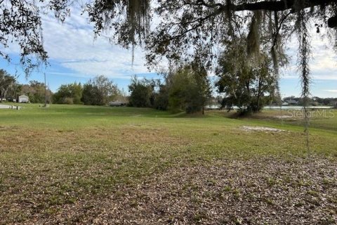 Land in Lakeland, Florida № 2275759 - photo 2